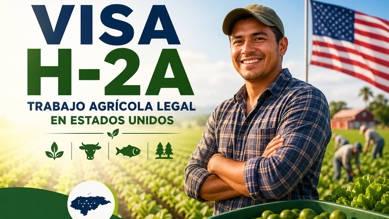 Visa H-2A: La Oportunidad Agrícola de EE.UU. para Trabajadores Hondureños 2025
